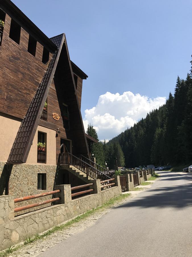 Hotel Pensiunea Mario Moeciu De Sus Exterior foto